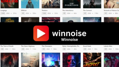 winnoise