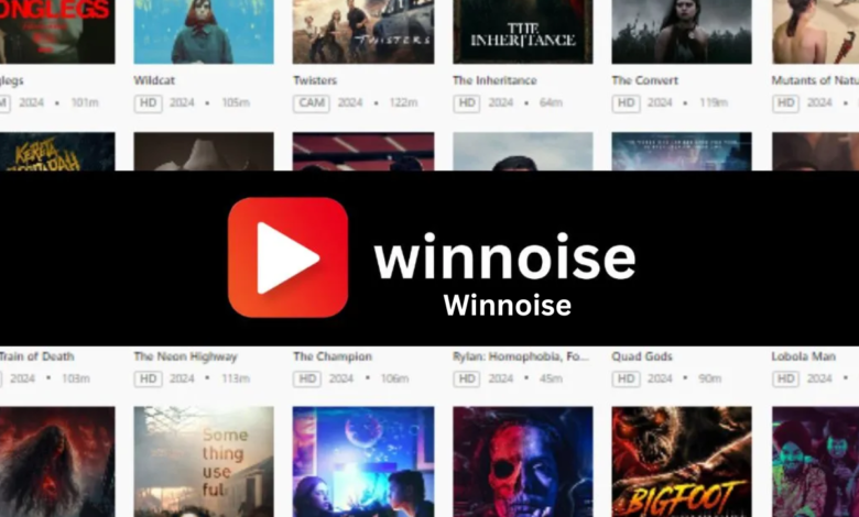 winnoise