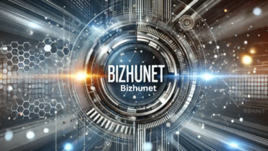 bizhunet