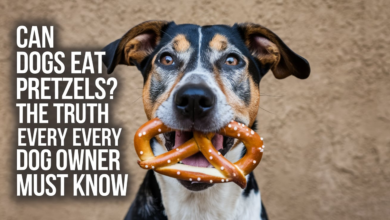 Can Dogs Eat Pretzels