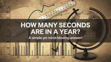 How Many Seconds Are in a Year